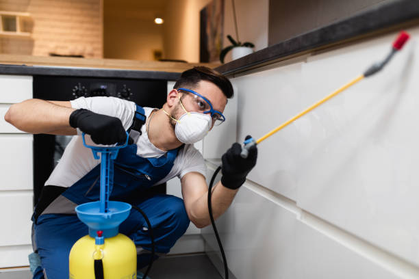 Best Pest Control Near Me  in Longmont, CO