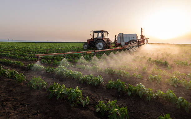 Best Mosquito Control Services  in Longmont, CO