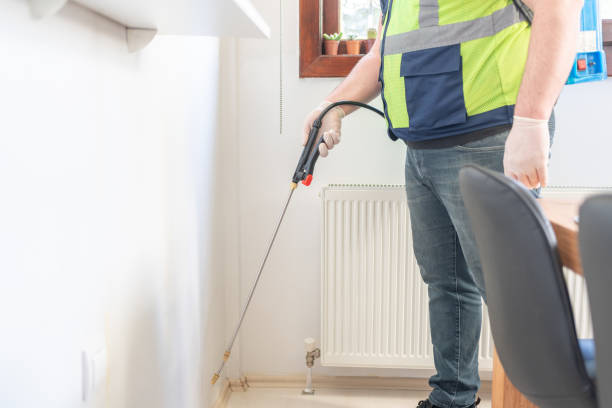 Best Pest Control Near Me  in Longmont, CO