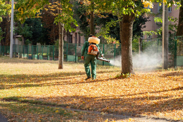Best Best Pest Control Companies  in Longmont, CO